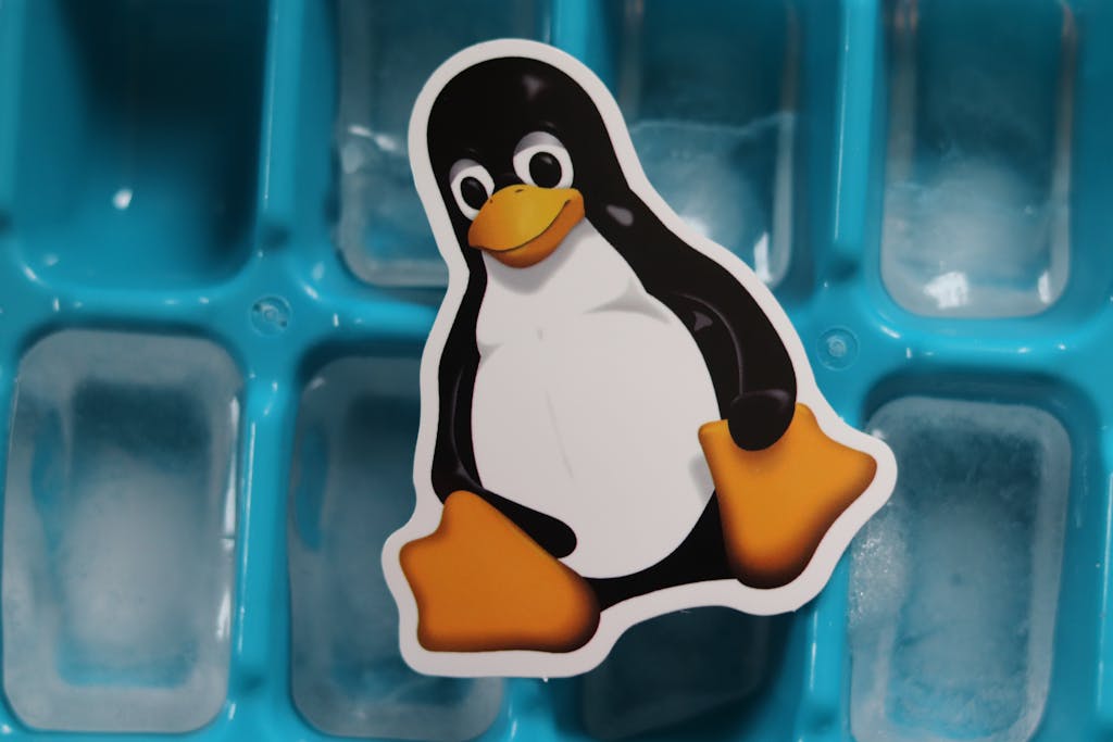 Unleashing the Versatile Power of Linux: A Guide to its Endless Possibilities